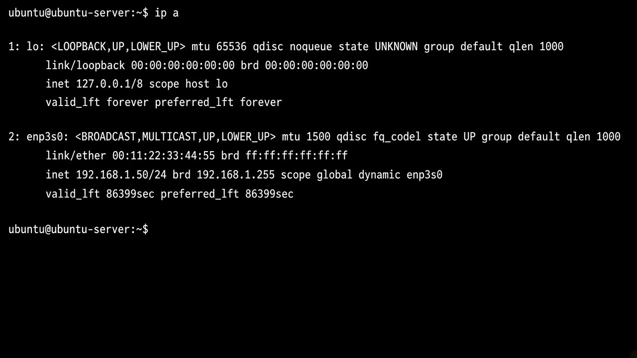 ip a — note the LAN IPv4